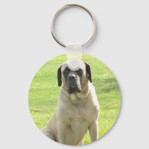 Chaveiro inglês do Mastiff