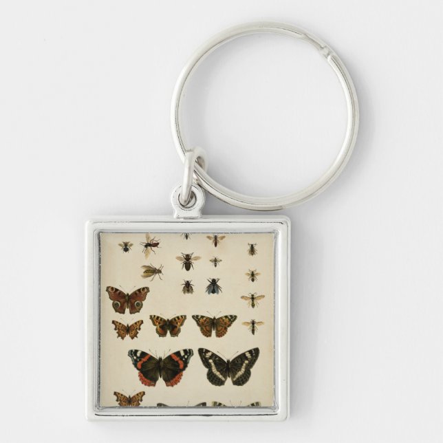 Chaveiro Insetos do Jardim pelo Vision Studio (Frente)