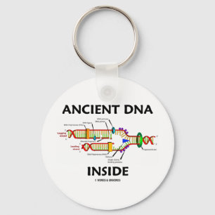 Chaveiro Interior antigo do ADN (humor da réplica do ADN)