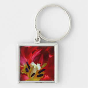 Chaveiro Interior da flor de tulipa papagaio