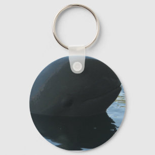 Chaveiro Irrawaddy Dolphin Peek-A-Boo
