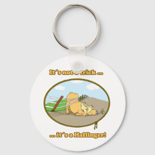 Chaveiro it´s not a trick…