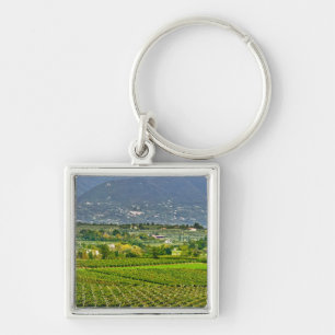 Chaveiro Itália, Lago de Garda. As margens do Lago de Garda