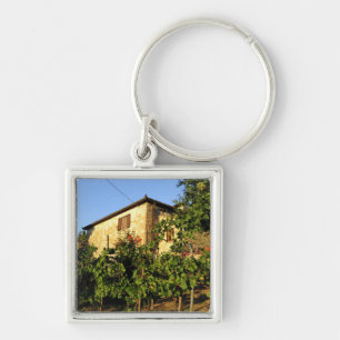 Chaveiro Itália, Toscana, Greve. Cenas de vinho no final do