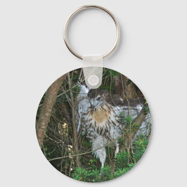 Chaveiro Itens de Coordenação de Falcão Vermelhos Imaturos (Frente)