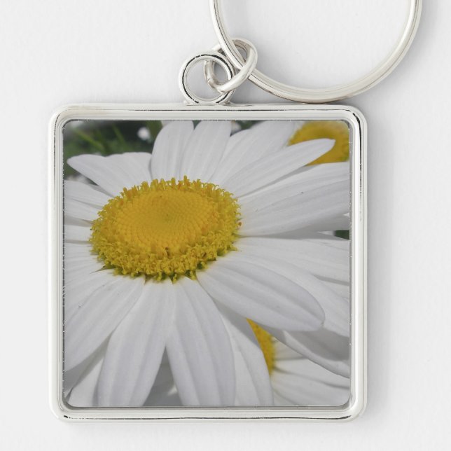 Chaveiro Itens Florais De Oxeye Daisy Wildflower (Frente)
