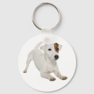 Chaveiro Jack Russell Terrier White E Brown Puppy Dog