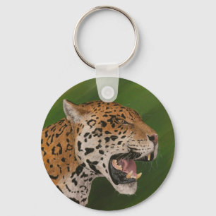 Chaveiro Jaguar