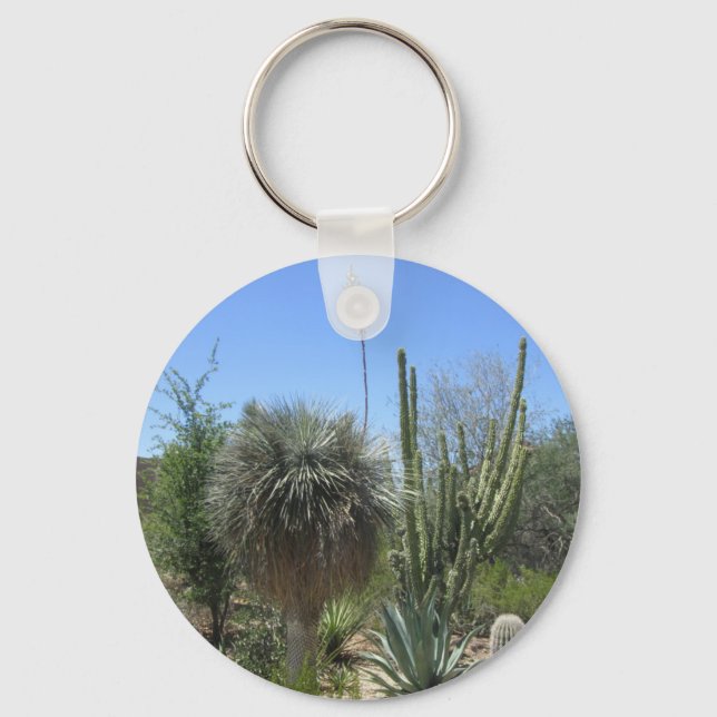 Chaveiro Jardim Cactus (Frente)