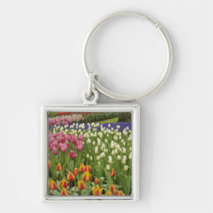 Chaveiro Jardim de tulipas e jacintos, Jardins Keukenhof,