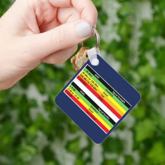 Chaveiro JML Communications Tower Logo & RSRP Signal Streng