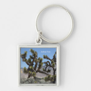 Chaveiro Joshua Tree na Califórnia