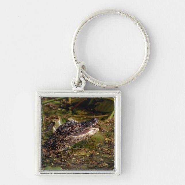 Chaveiro Jovem Alligator (Frente)