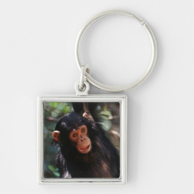 Chaveiro Jovem Chimpanzé (Frente)