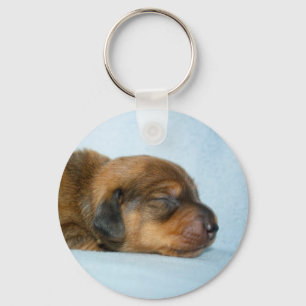 Chaveiro Jovi 1 wk-Lovebugdoxies