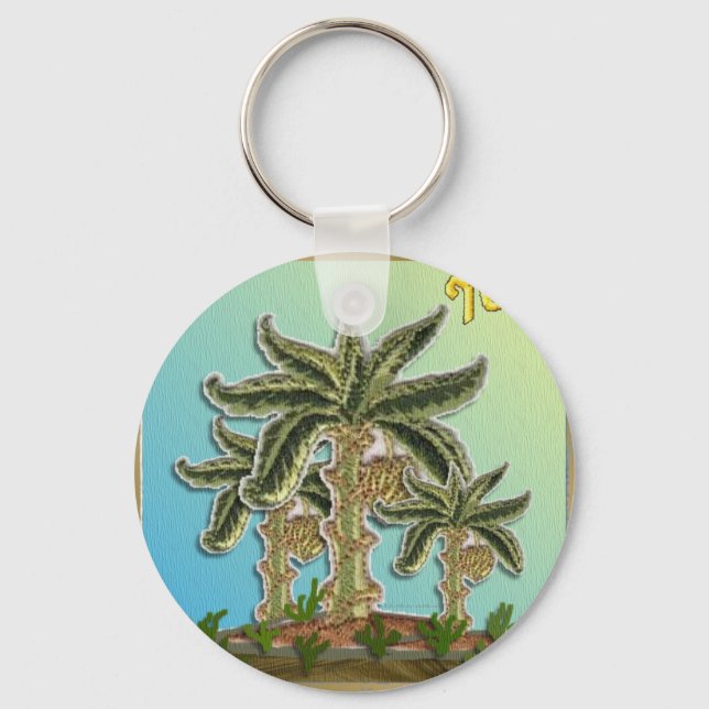 Chaveiro Judaica 12 Tribos De Israel Joseph (Frente)