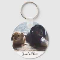 Juno e Scout