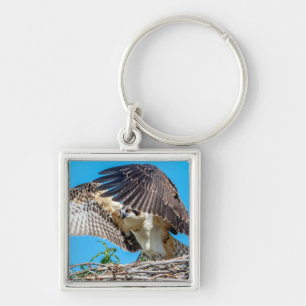 Chaveiro Juvenil Osprey no ninho