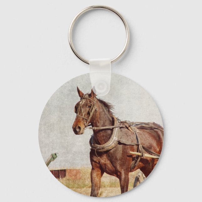 Chaveiro Kalona, Iowa Amish Horse e Buggy (Frente)