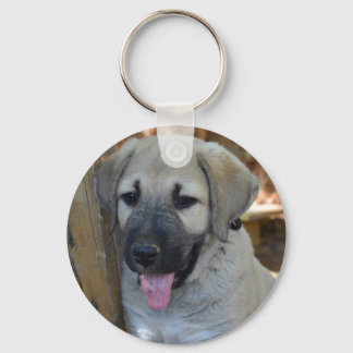 Chaveiro Kangal - Cão-Ovelha Anatólogo