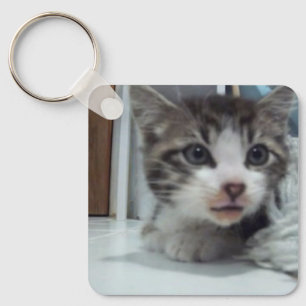 Chaveiro Keeno Little LionHearchaveiro