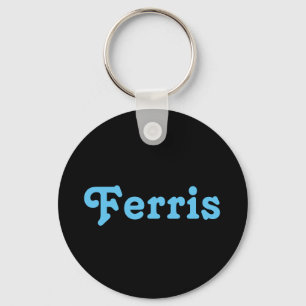 Chaveiro Key Chain Ferris