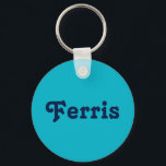 Chaveiro Key Chain Ferris<br><div class="desc">Key Chain Ferris</div>