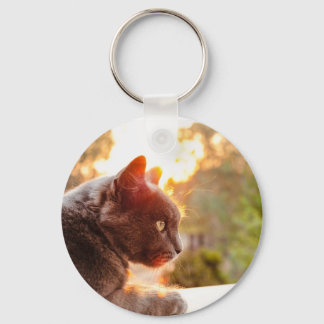 Chaveiro Keychain
