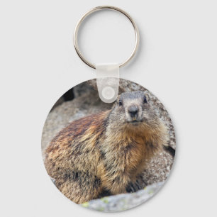 Chaveiro Keyring alpino da marmota