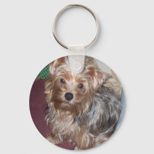 Chaveiro Keyring bonito do yorkshire terrier