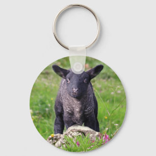 Chaveiro Keyring das ovelhas negras do Baa-Baa