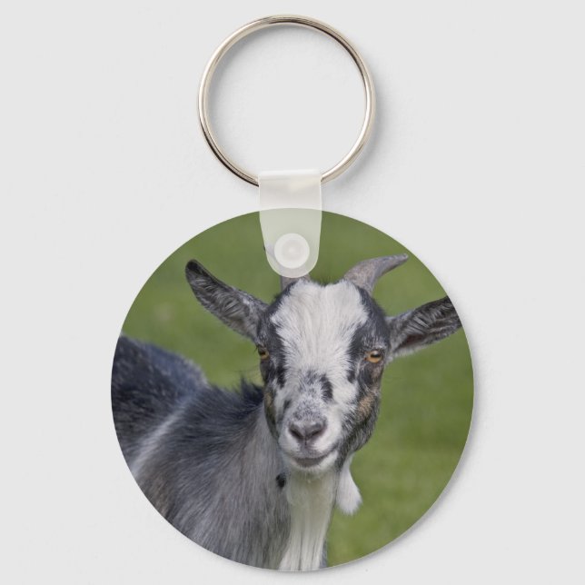 Chaveiro Keyring de Goat Pygmy (Frente)