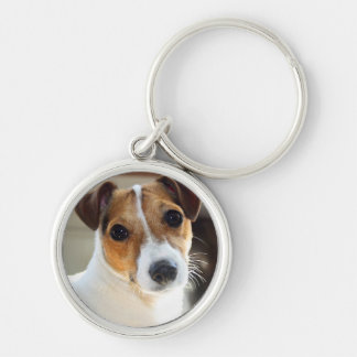 Chaveiro Keyring de Jack Russell