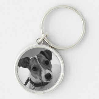 Chaveiro Keyring de Jack Russell