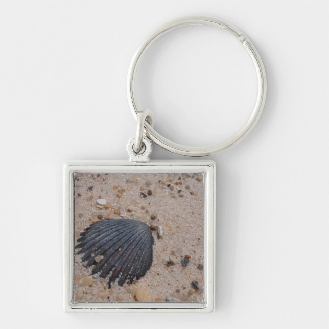 Chaveiro Keyring de Shell de Scallop (Frente)