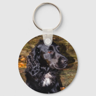 Chaveiro Keyring do Cocker Spaniel