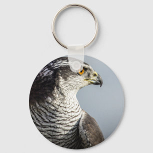 Chaveiro Keyring do falcão de peregrino