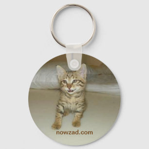 Chaveiro Keyring do gato do salvamento de Nowzad