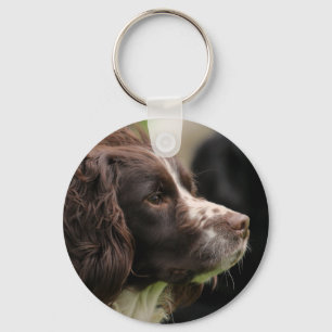 Chaveiro Keyring do Spaniel de Springer