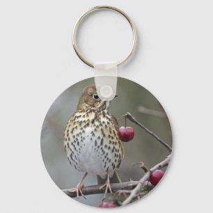 Chaveiro Keyring salpicado do Songster