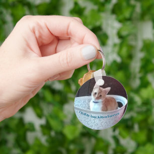 Chaveiro Kitten Engraçado, Texto E Foto Podem Ser Substituí