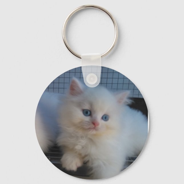 CHAVEIRO KITTEN PERSIAN, UM GATO BRANCO (Frente)