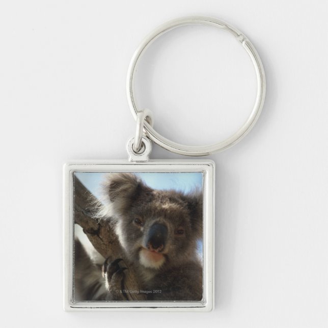 Chaveiro koala (Frente)