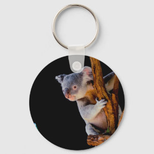 Chaveiro Koala Cute em Cinza