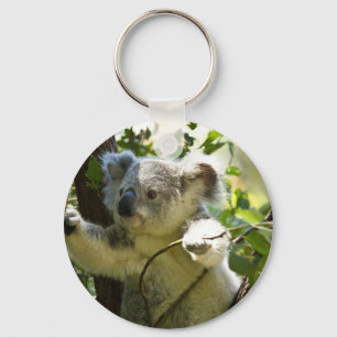Chaveiro Koala surpreendente bonito do bebê em uma árvore