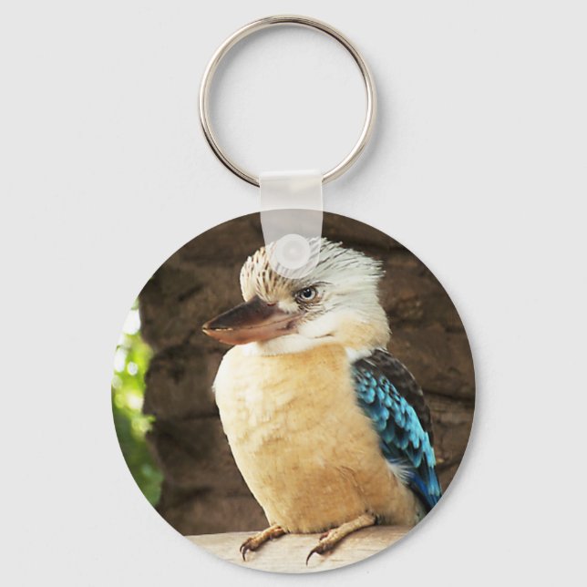 Chaveiro Kookaburra (Frente)