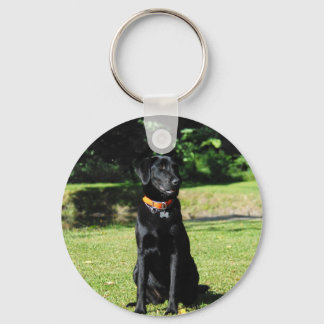 Chaveiro Laboratório Preto
