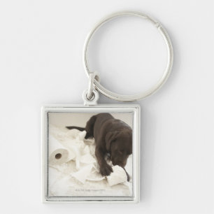 Chaveiro Labrador castanho chocolate