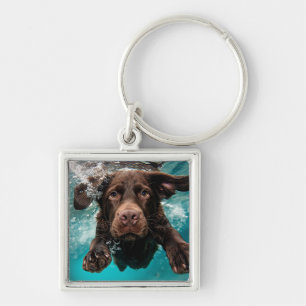 Chaveiro Labrador Chocolate Brincalhão Nadando Submerso