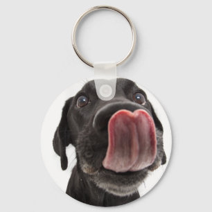 Chaveiro Labrador Negro A Soltar O Nariz